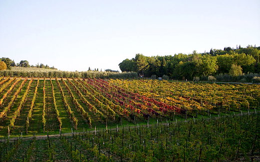 I giorni del Vino: molto più di solo vino!