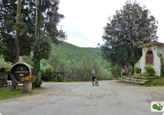 castiglionchio farm