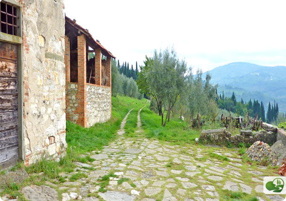 old farm