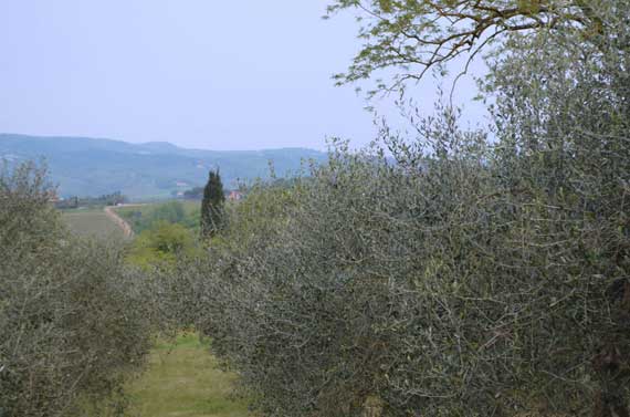 Sergio at Villa i Leoni is a wealth of information for weddings