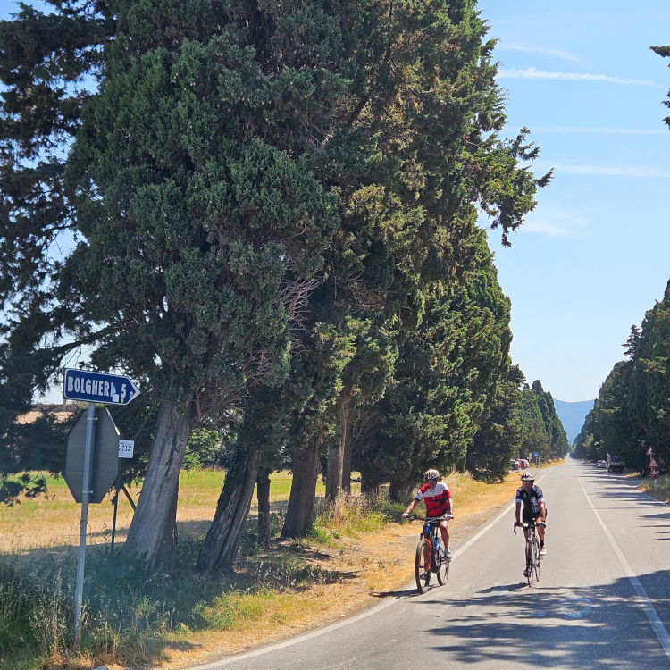 Bolgheri – Viale dei Cipressi cyclists