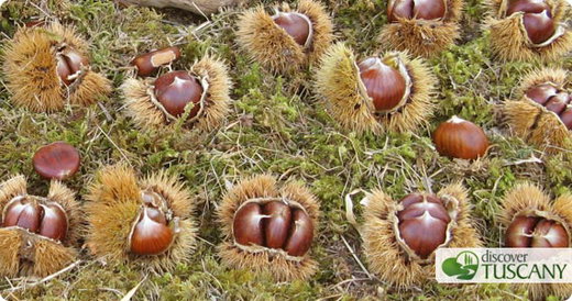 Chestnut Festival in Marradi