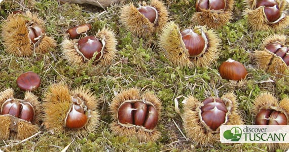 Chestnut Festival in Marradi