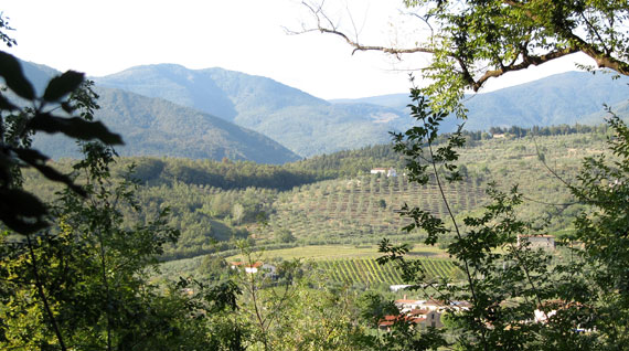 thats-prato-panorama