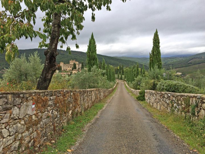 cipressini