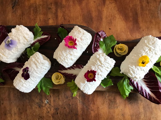 Green Brunches at Villa Dianella, from Fall through Spring