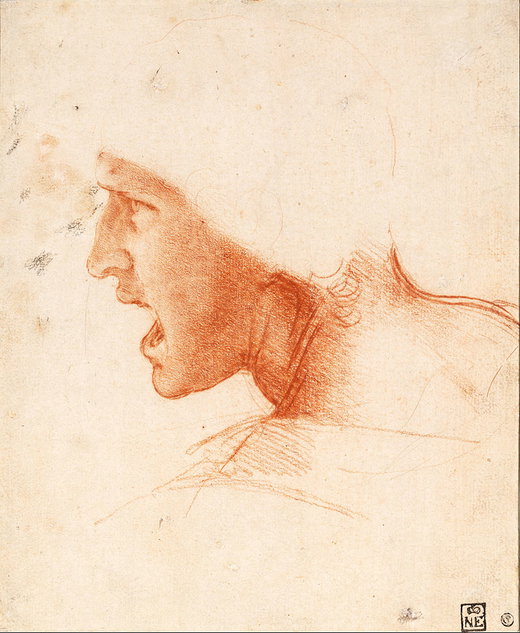 A year full of events dedicated to Leonardo da Vinci for the 500th anniversary of his death