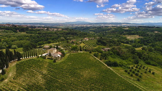 La Lastra Wine Shop is Online