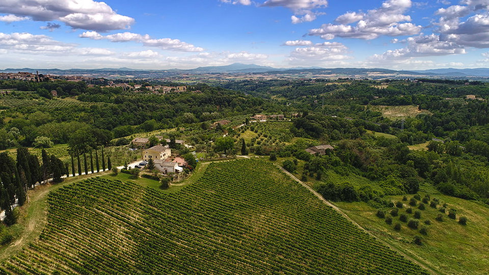 La Lastra Wine Shop is Online