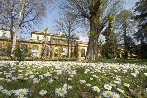 The Giardino dei Semplici, Florence's Botanical Garden, Needs your Help