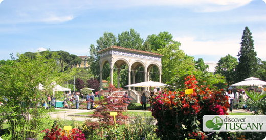 Florence under bloom!