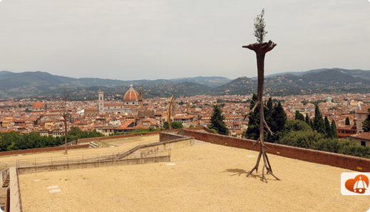 A "Plant" Perspective at the Forte Belvedere & Boboli