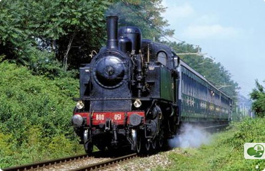 Travel by Slow Steam Train to a Local Festival near Siena