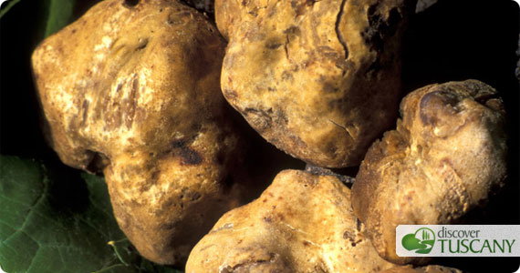 Truffle Season is here!