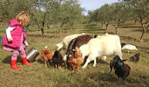 A View on a Teaching Farm