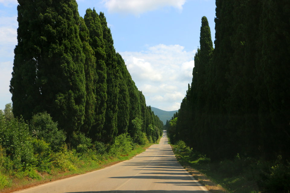 Head to Bolgheri On the Tuscan Coast