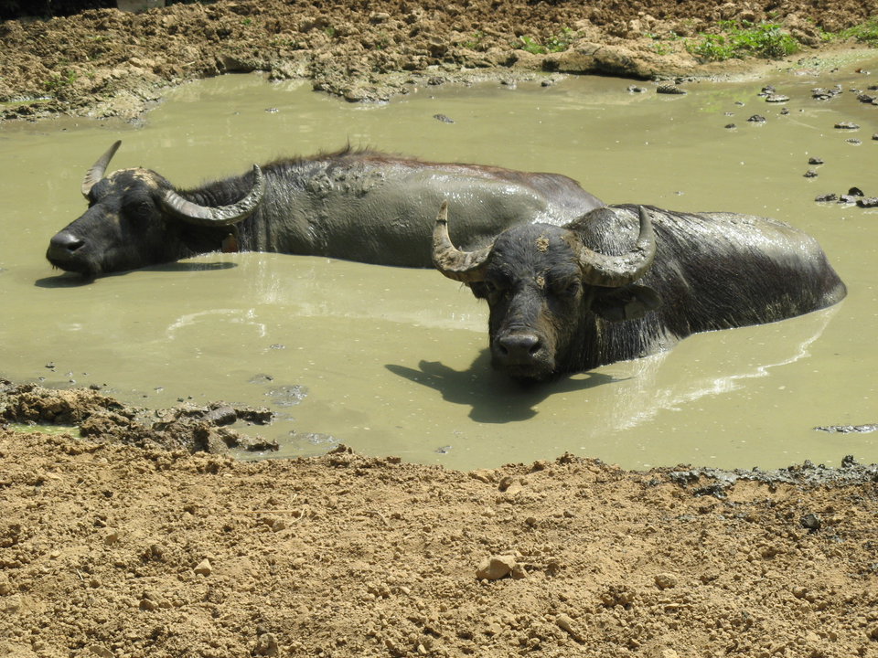 Poppi Zoological Park - Discovering Tuscan and European Fauna