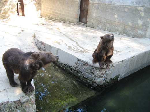 Poppi Zoological Park - Discovering Tuscan and European Fauna