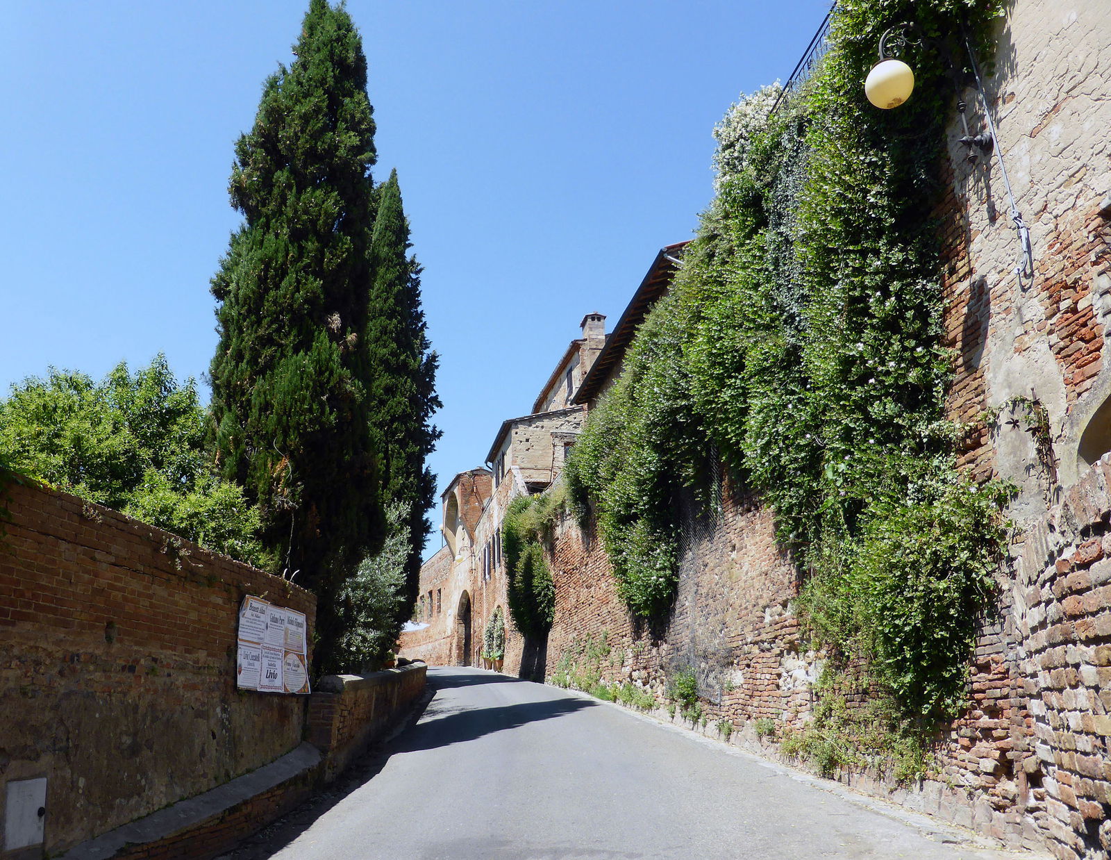 Road to Certaldo in Tuscany