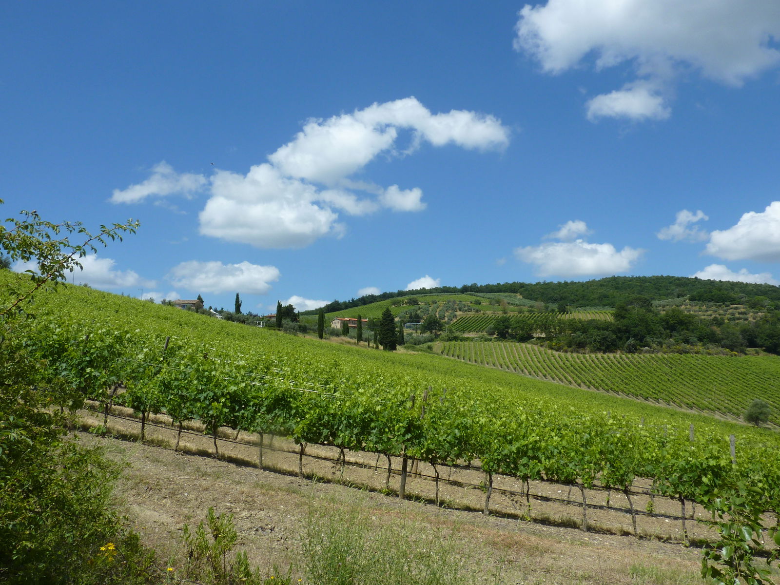 Degustazione di vini a Badia Passignano