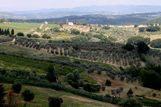 Barberino val dâ€™Elsa, a Chianti Dream
