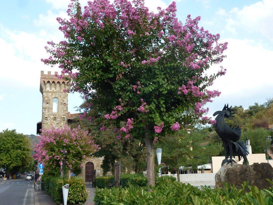 Top Tours to Enjoy During the Spring