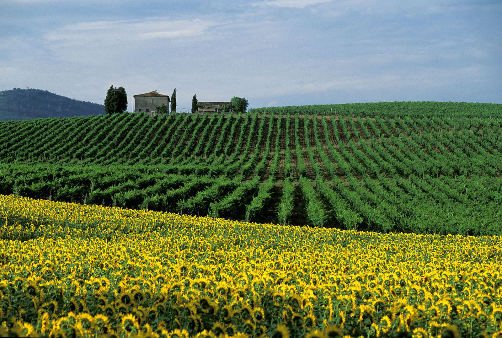 Enjoy great views in Chianti Classico