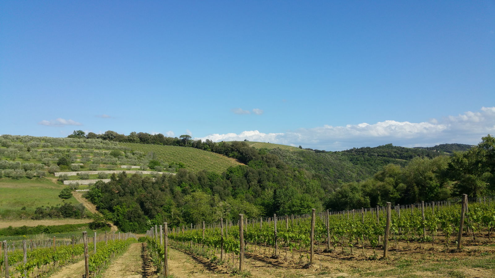 Biking and wine tasting in Chianti is the best way to enjoy the territory