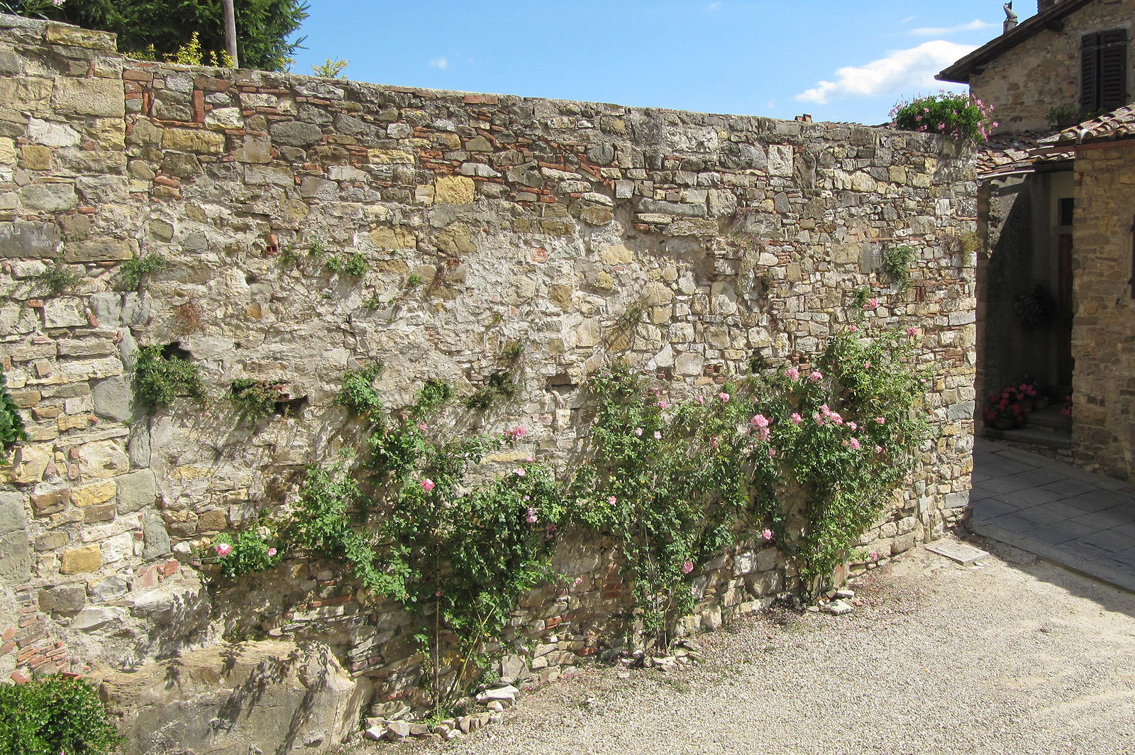 Stone wall in Panzano