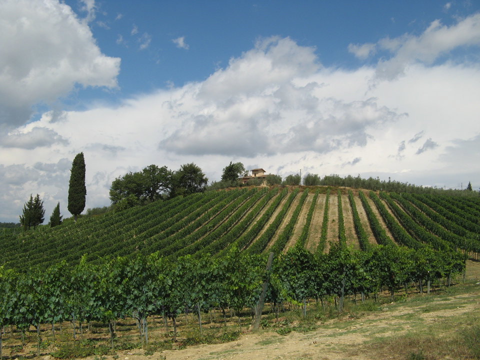 The gentle hills of Chianti, Tuscany's Famous Wine Region