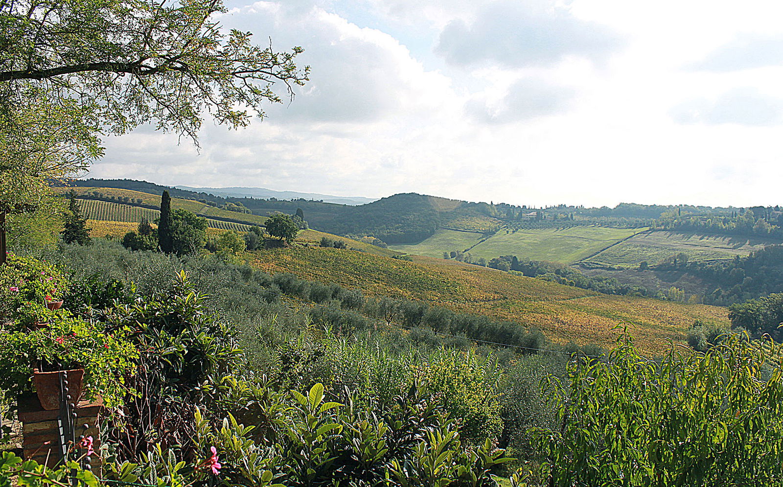 Landscape around Poggibonsi in west Chianti