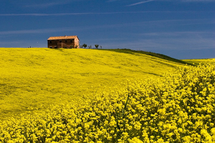 5 ways to enjoy Spring in Tuscany