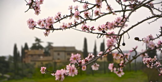 5 ways to enjoy Spring in Tuscany