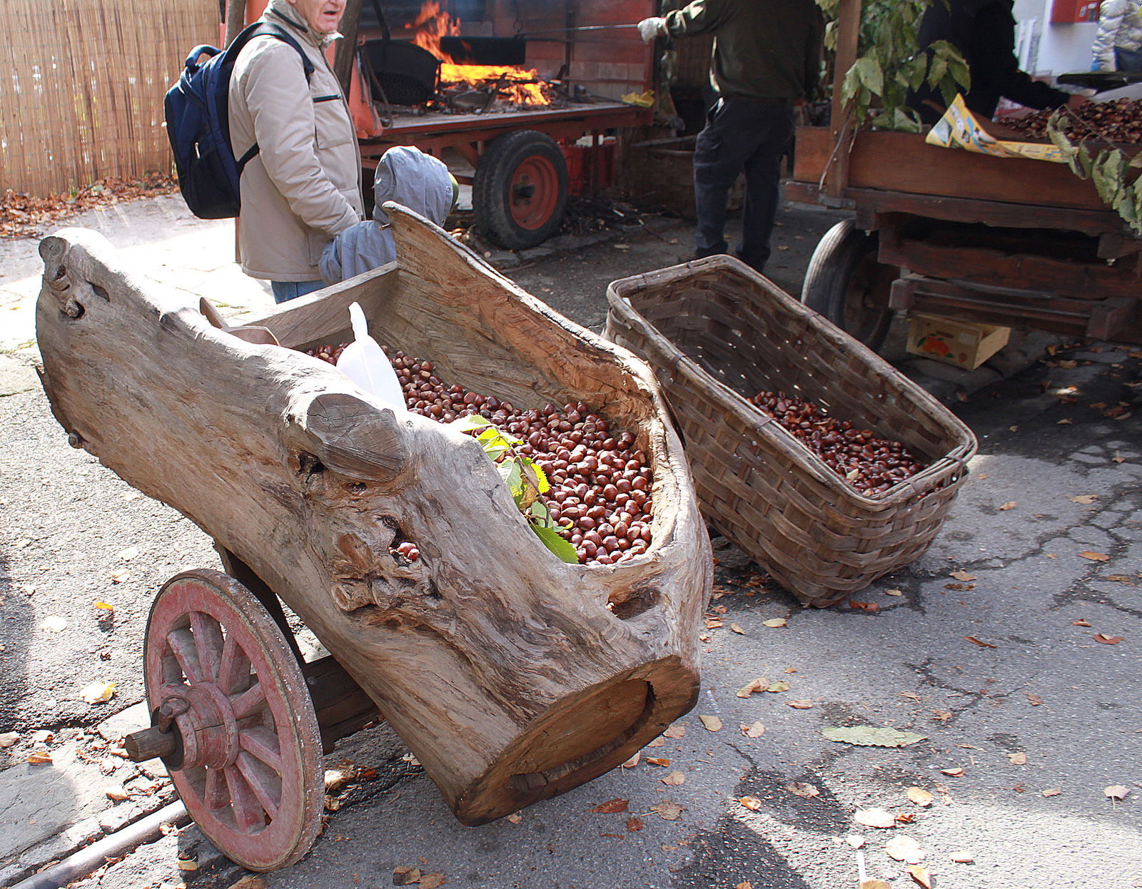 Steam Engine Train in Tuscany at Marradi Chestnut festival