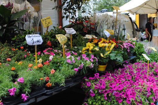 The Cascine Market on Tuesdays