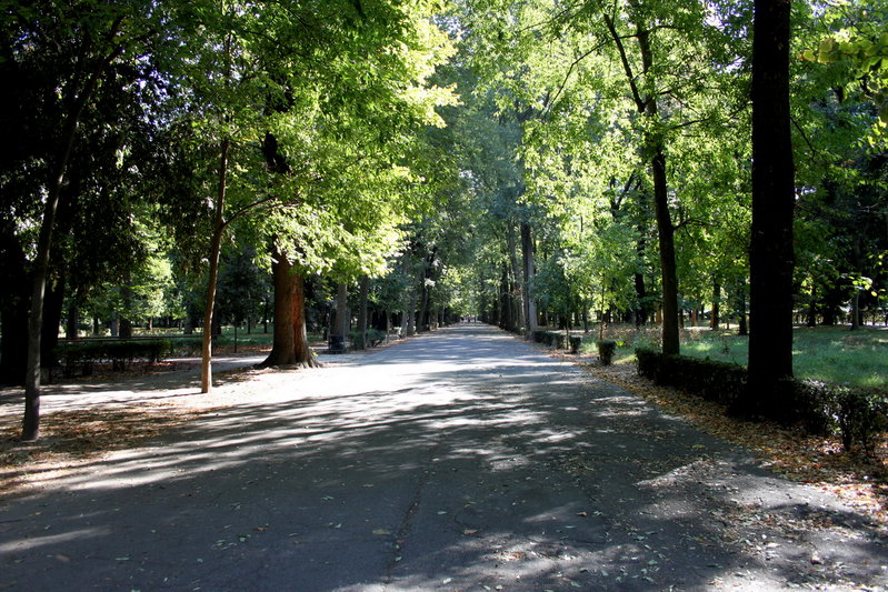 cascine park