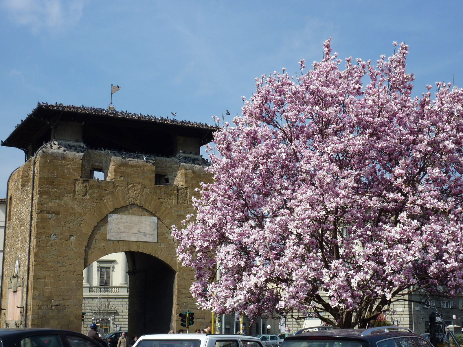 Piazza Beccaria: First signs of Spring