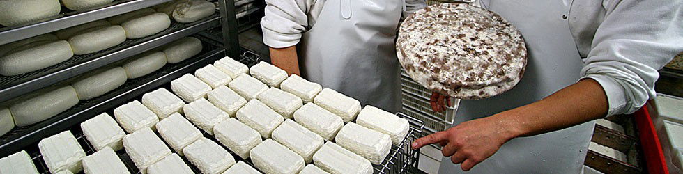 Fresh cheeses from Corzano e Paterno