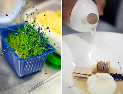 Restaurants for a special occasion in Florence