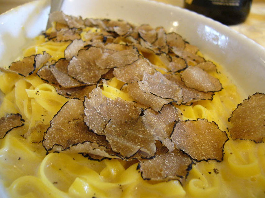 White and Black Truffles in Tuscany