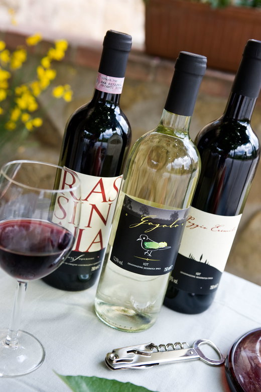 Wine Tasting in Chianti
