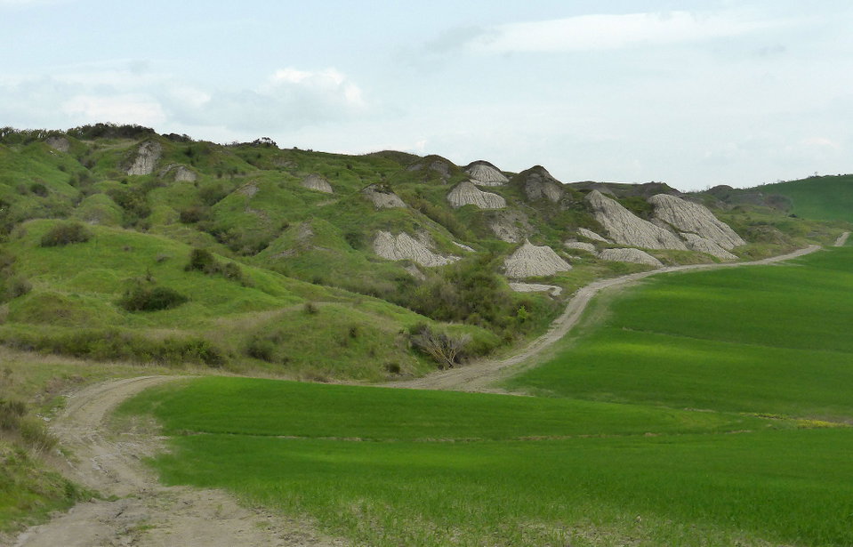 Via Francigena: A Road Map