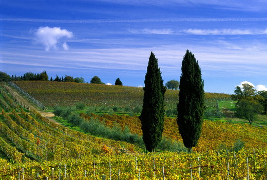 Pitcher and Flaccomio Real Estate in Tuscany
