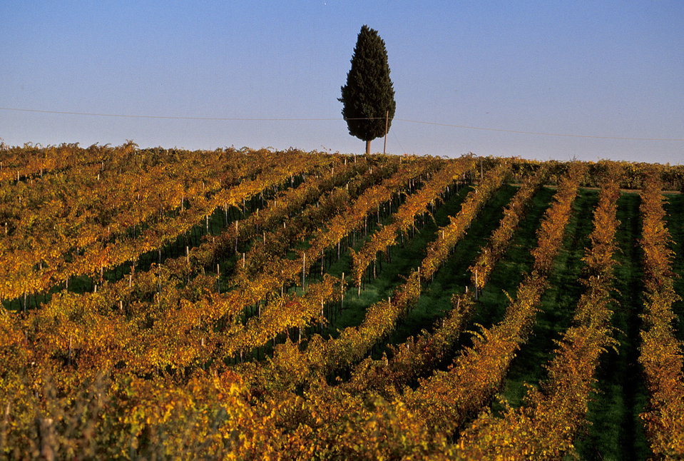 Autumn Colors in Tuscany