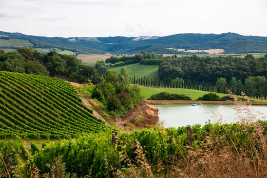 Chianti Tours