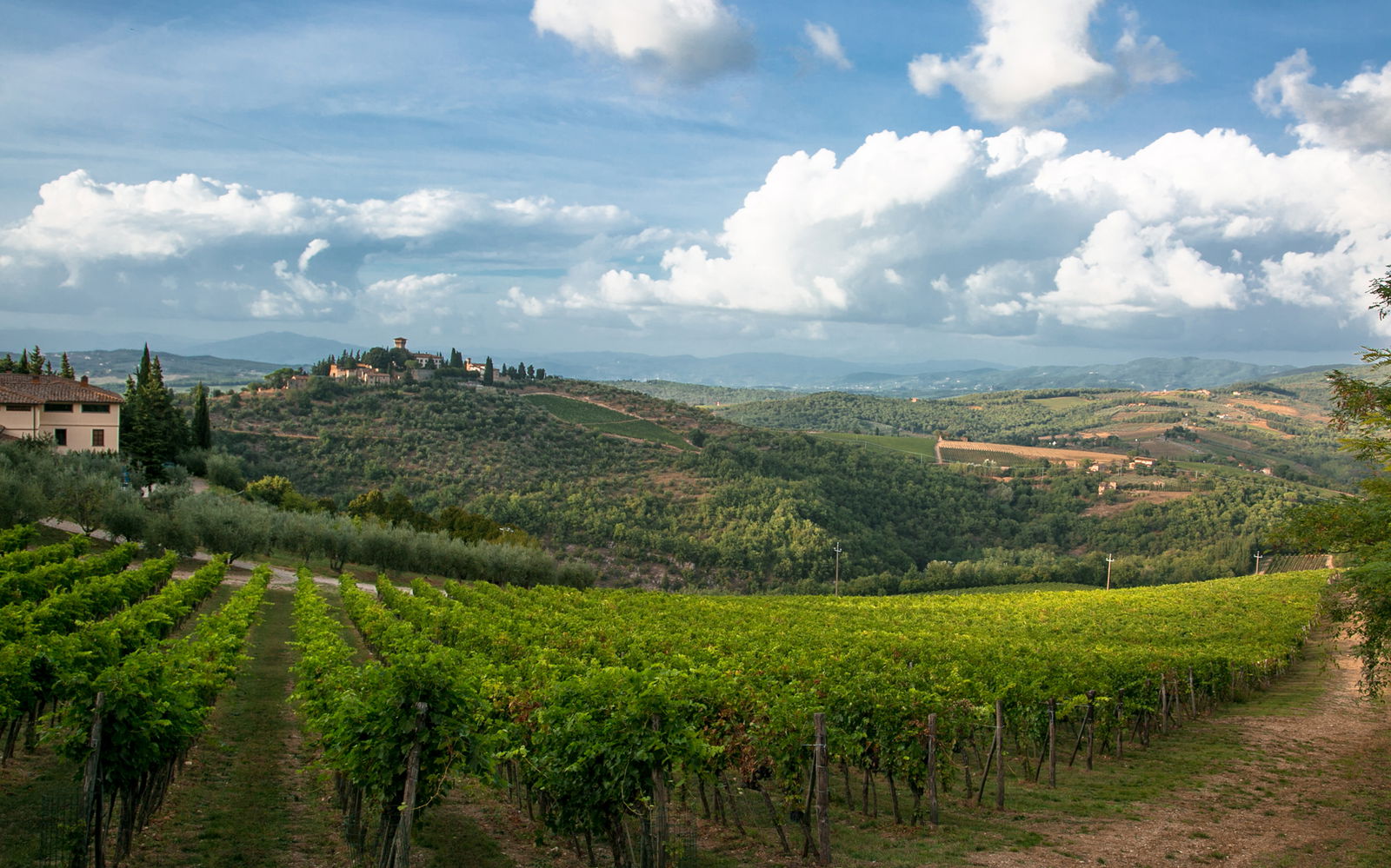 The beauty of Tuscany in June