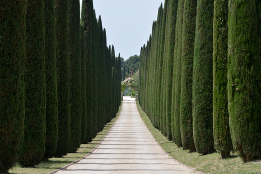Budget Accommodations in Tuscany