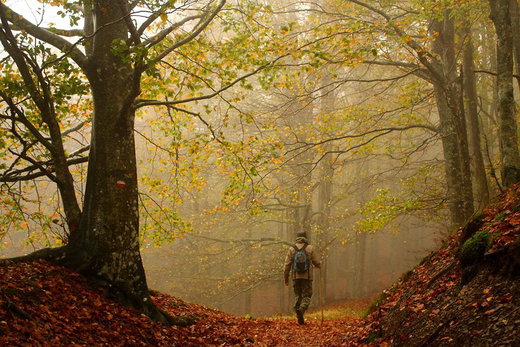 Finding Fall Colors around Florence