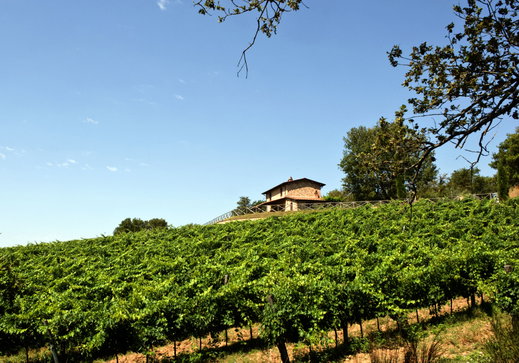 Where to Stay in Tuscany? The Best Bases for Your Stay