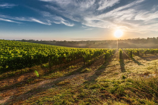 Visit Chianti